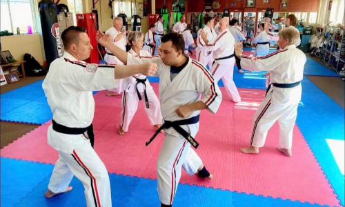 Martial Arts Training