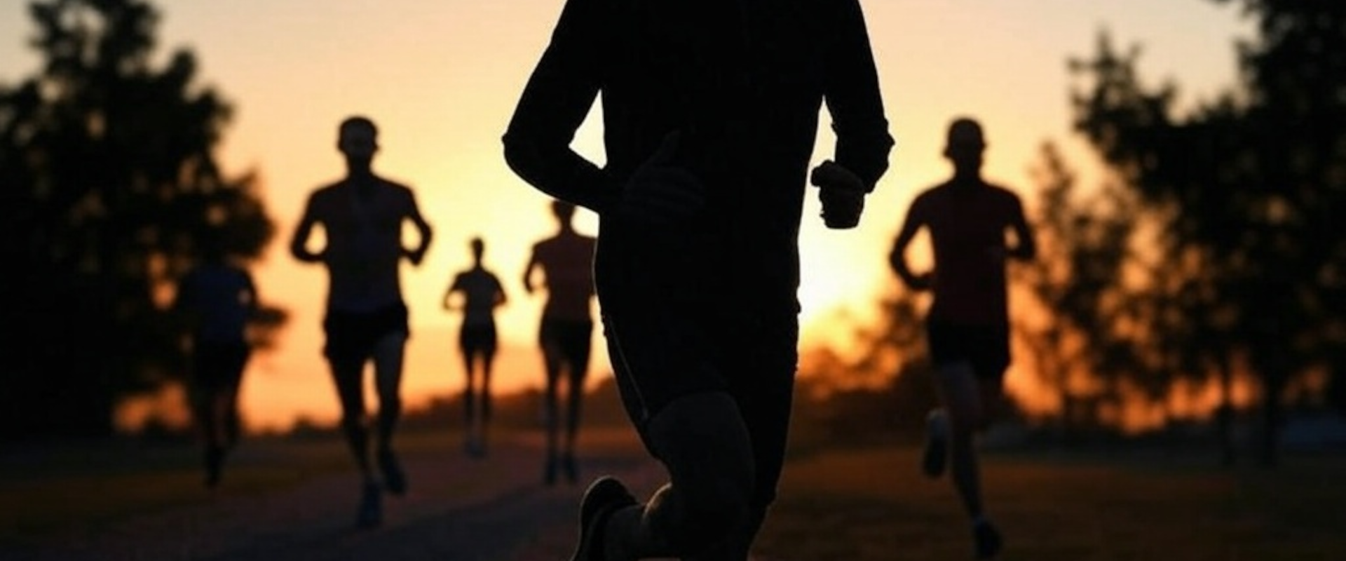 Senior Fitness Programs
